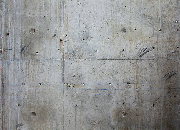  Lely, FL Concrete contractor Pros
